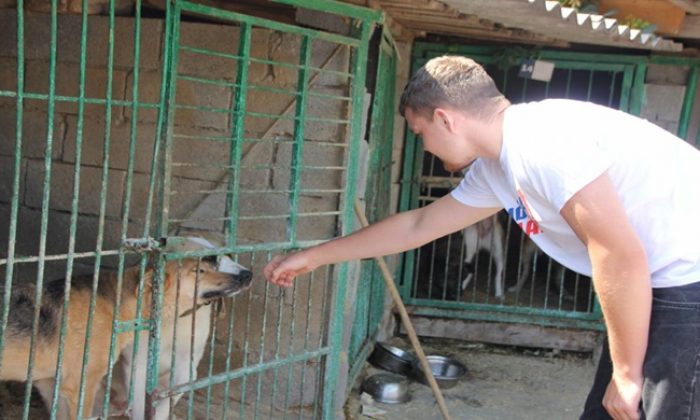 В Туле волонтеры «Единой России» и МГЕР передали в приют для животных свыше 50 килограммов корма
